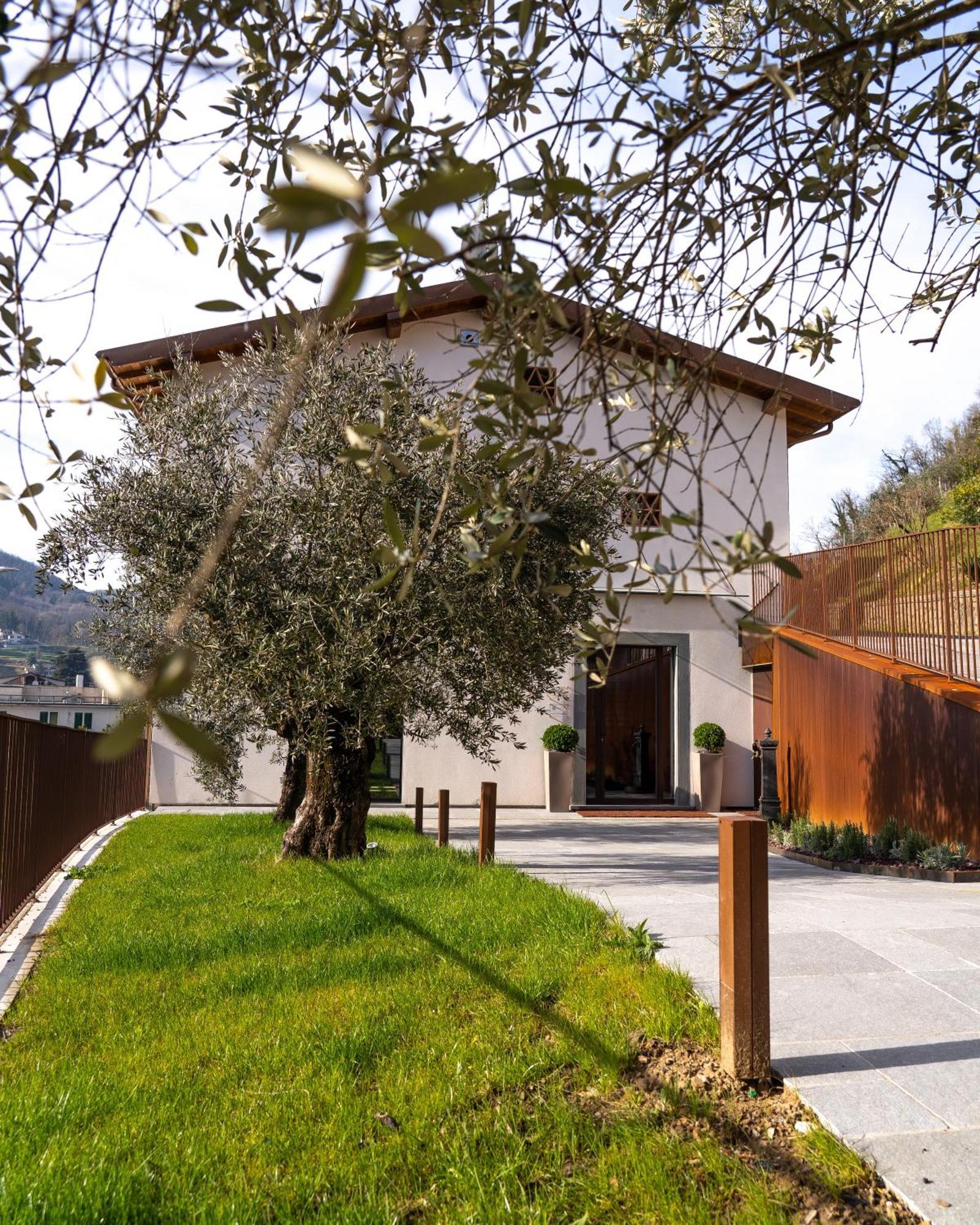 Il Pradicciolo Agriturismo Castelnuovo di Garfagnana Exteriér fotografie